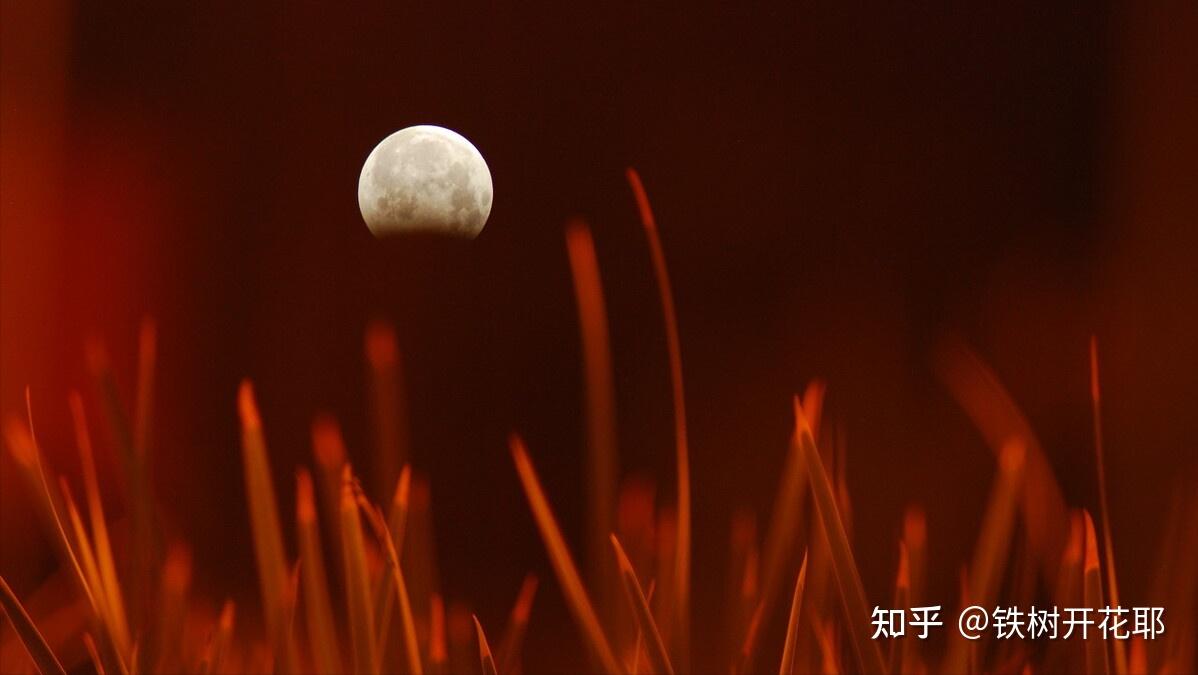 2023年月相:月亮许愿提前知道档期 - 知乎