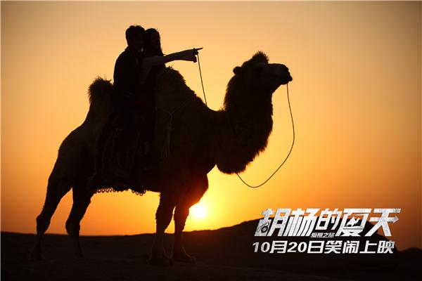 《胡杨的夏天》没有什么可以阻挡,你对爱情的向往