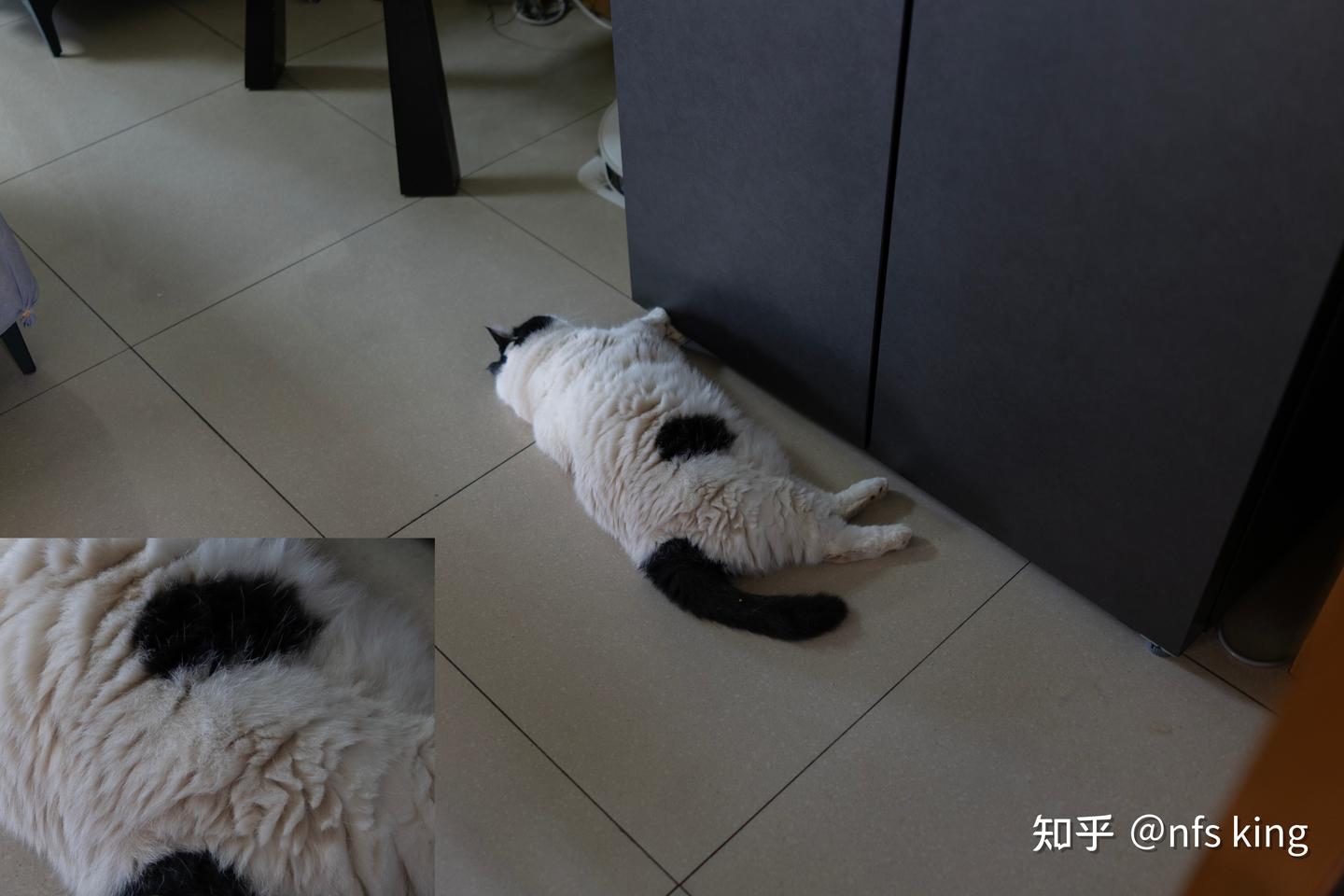 关于“在座各位手机(拍照)都是垃圾”的进一步解释