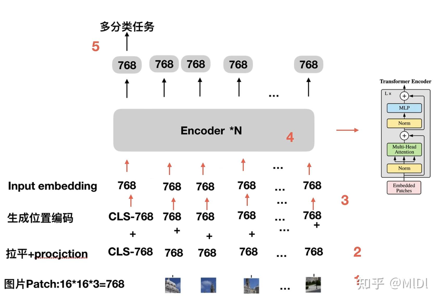 Vision Transformer in Classification - 知乎 image.