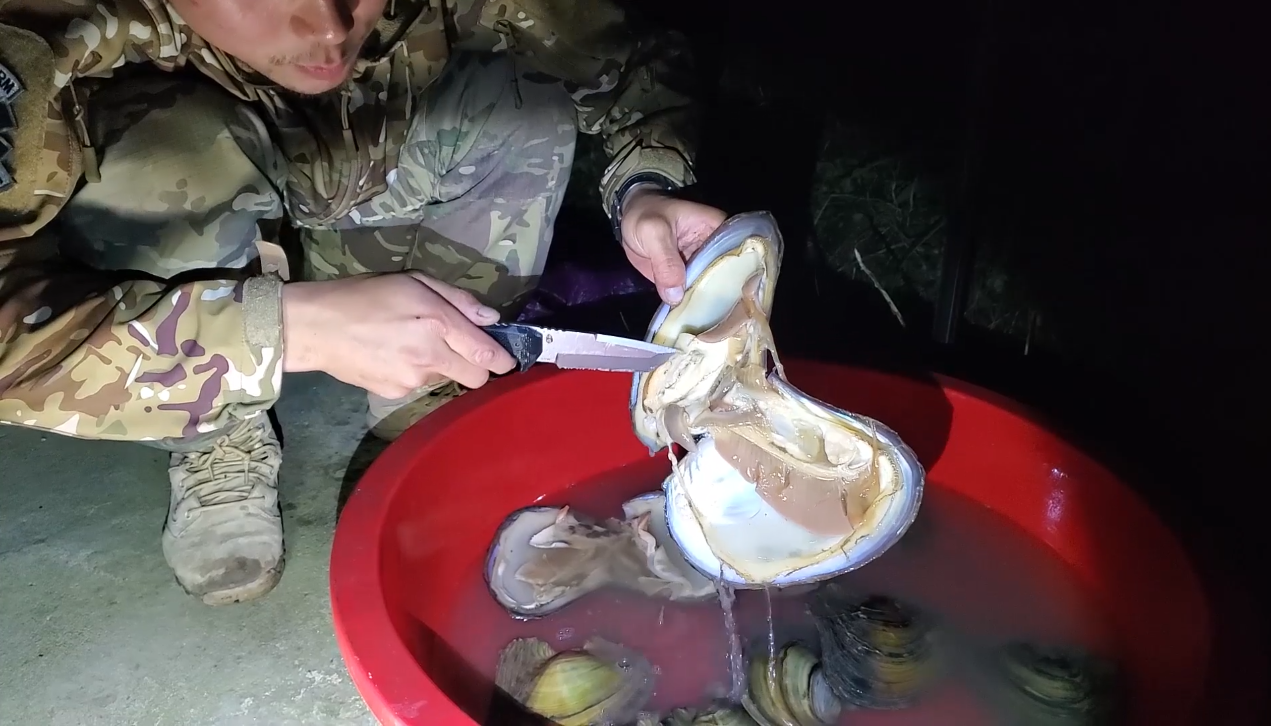 不可食用,从水里过滤的很多寄生虫都是残留在河蚌的鳃里面把肉从河蚌