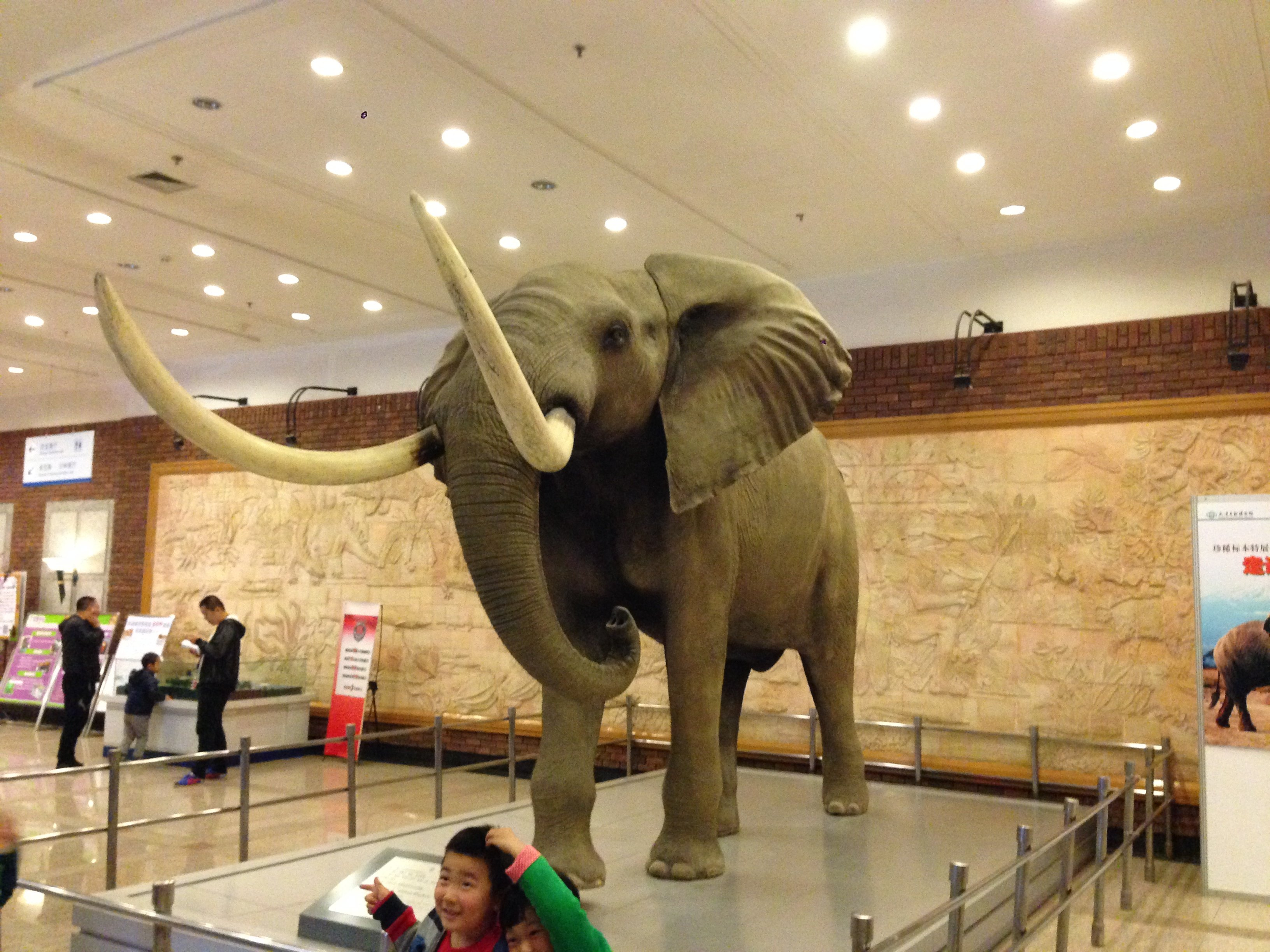 辽东游记博物馆之旅大连自然博物馆