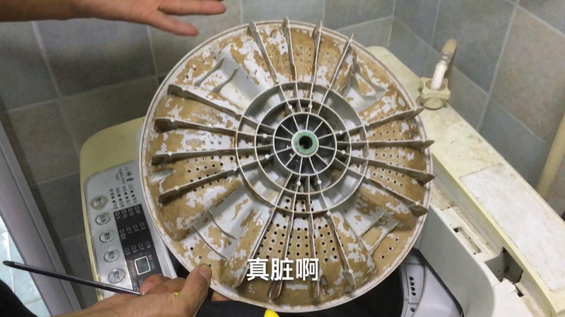 网传的那些你家洗衣机比马桶还脏消息,不是危言耸听.