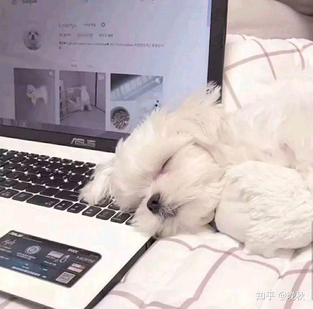 v2-1e6debe3b009e15265850189ae5df40d_r.jpg