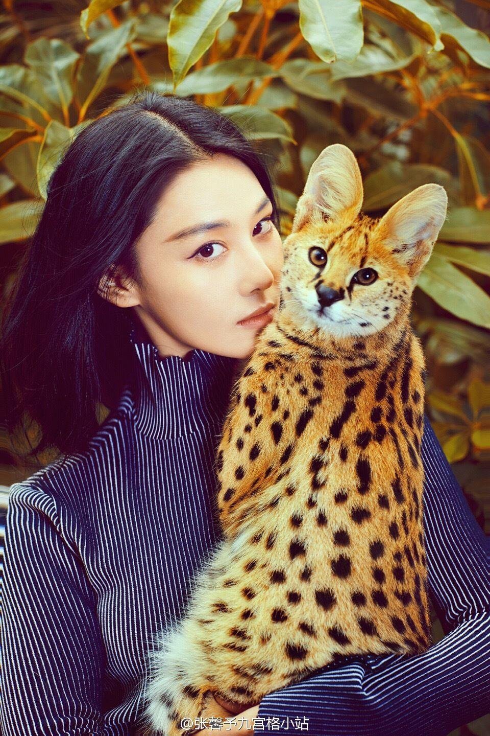 如何评价张馨予的长相?