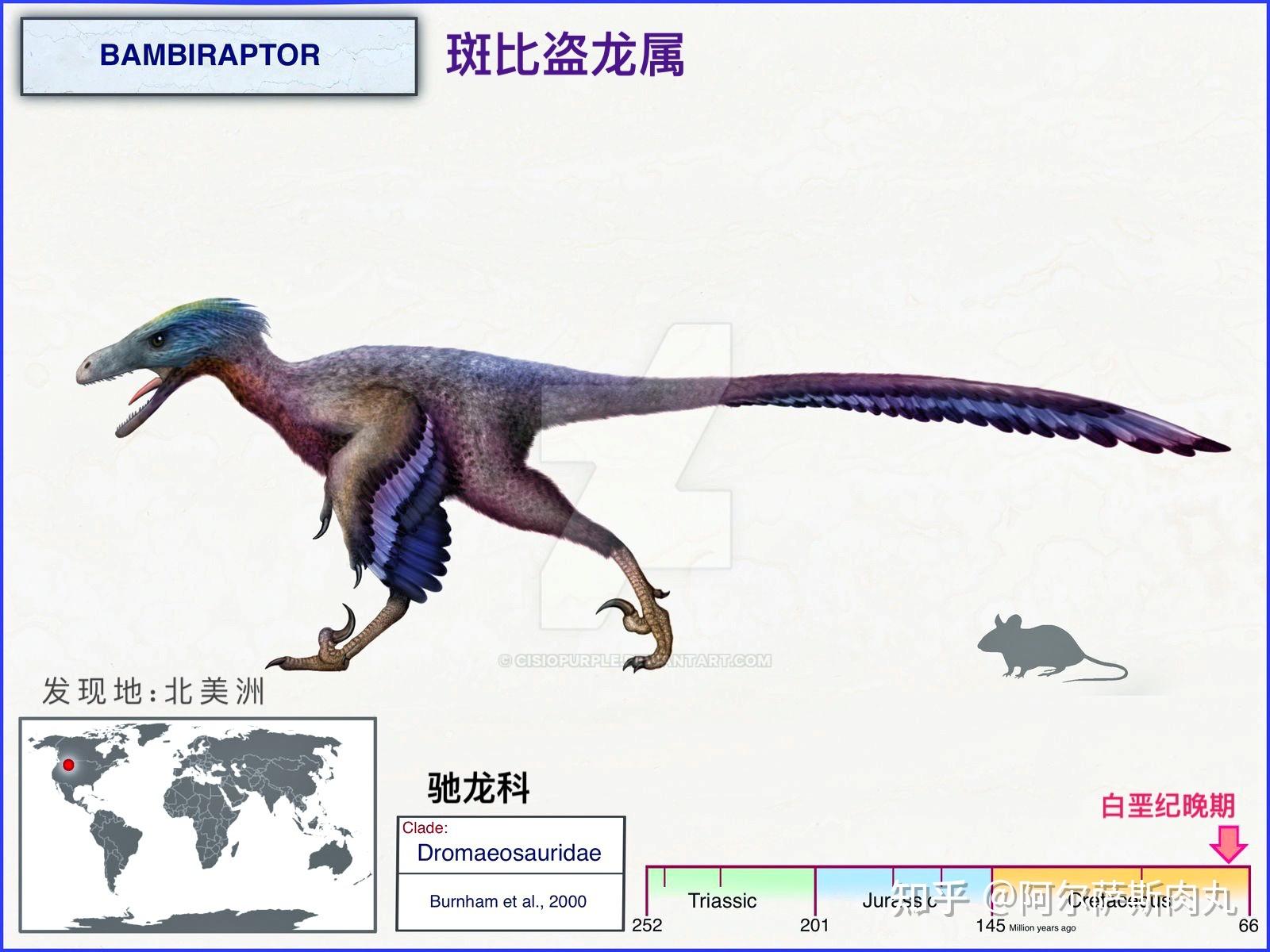 legendofcretaceous丨白垩传8龙驰天下下