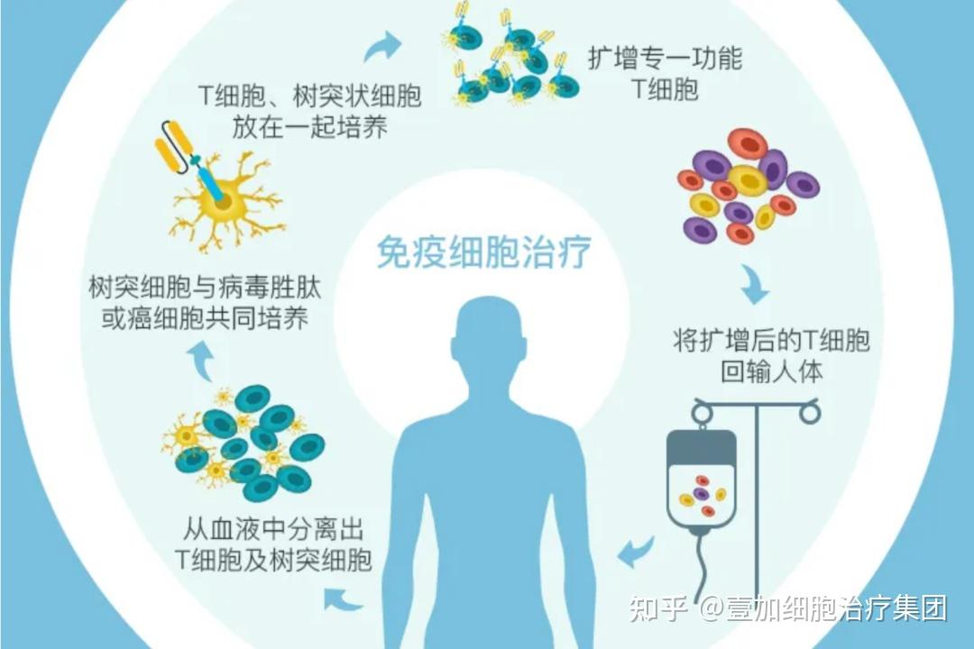 疫情肆虐肿瘤患者外防新冠内盯转移复发免疫力才是最好的医生