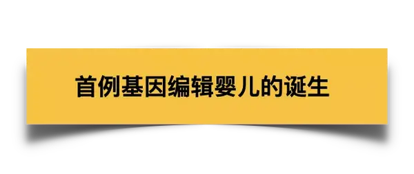 纽约时报 曝光贺建奎与斯坦福导师往来邮件 导师一直 默许并支持 知乎