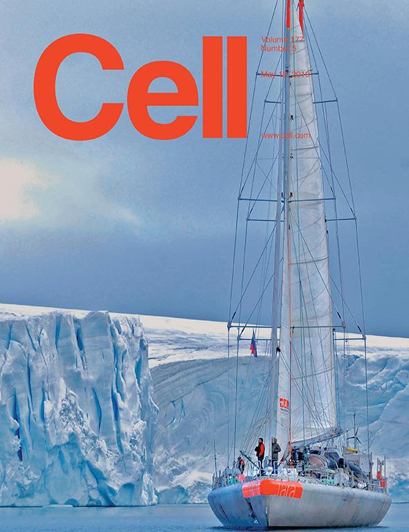 科学与艺术的结合！《CELL》100+张期刊封面鉴赏｜2019年篇 - 知乎