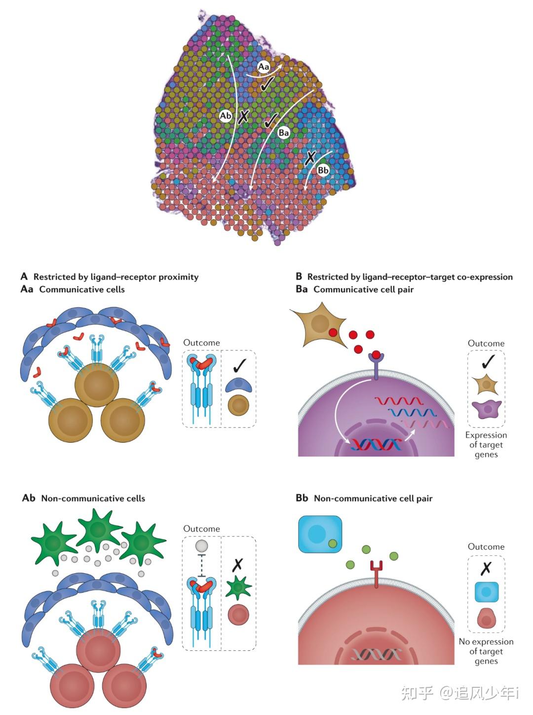 超全总结单细胞空间转录组的整合分析方法总结