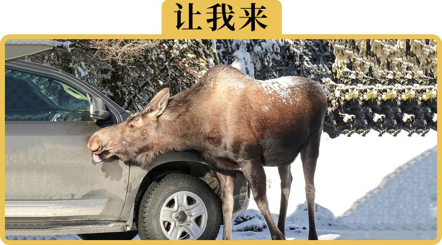 路边只要10块钱的自助洗车机真的能用吗 别等车洗坏了才后悔 知乎 路边只要10块钱的自助洗车机真的能用吗 别等车洗坏了才后悔 知乎