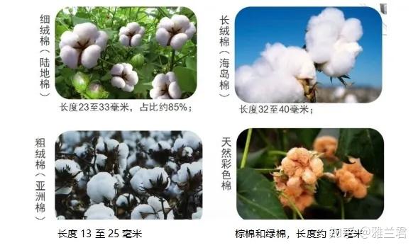 纱线的基本知识,纺织人你都了解吗? - 知乎