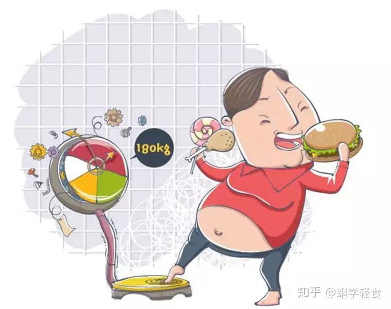 饮食能让人减肥吗知乎文章(饮食减肥是真的吗)