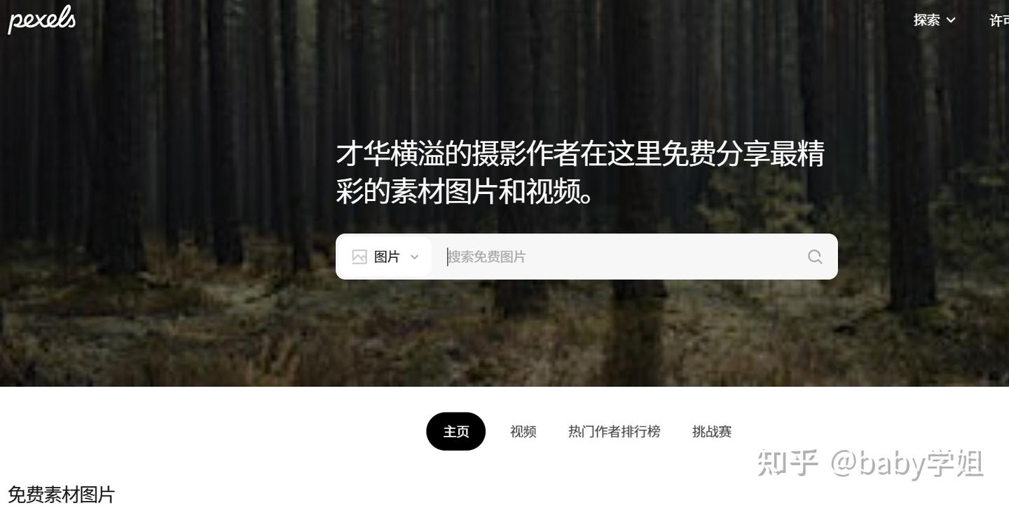 分享6个学习资料丰富的网站,可以获取全方面资料 - 知乎