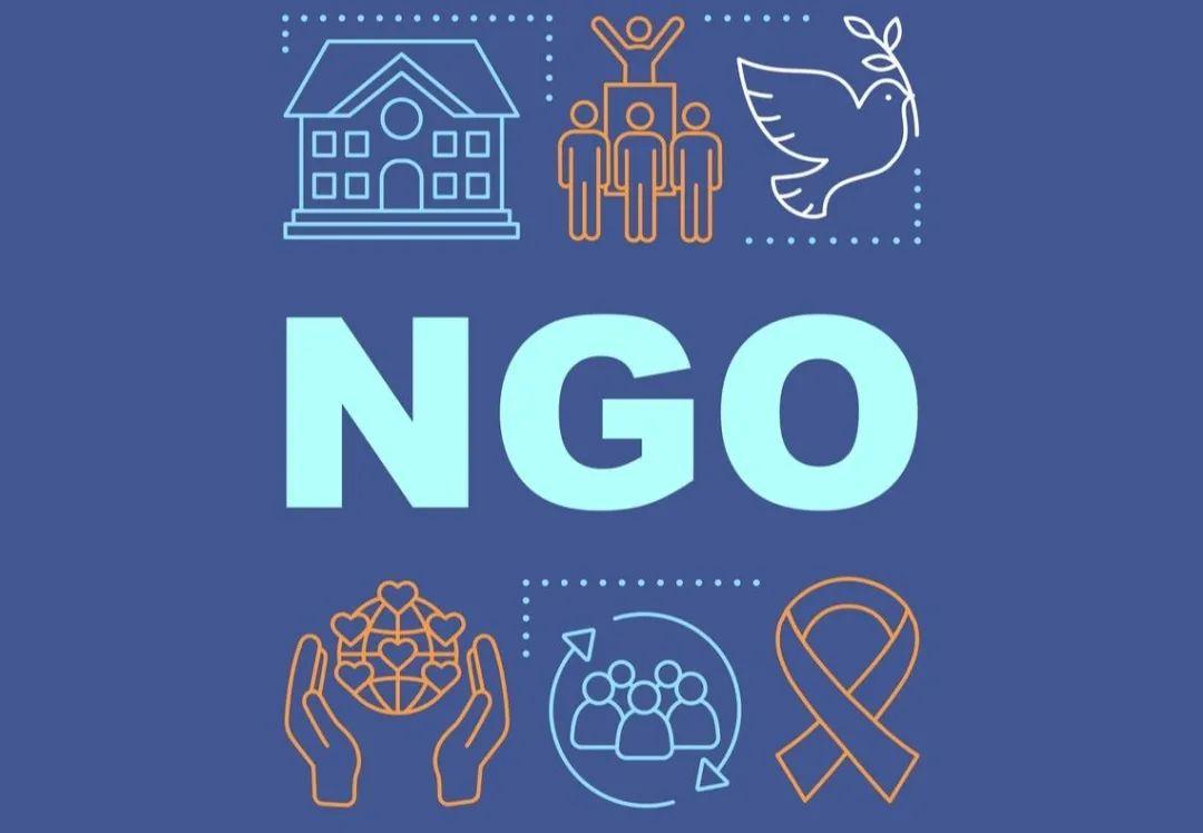 ngo,non-governmental organization,非政府组织,顾名思义就是不由