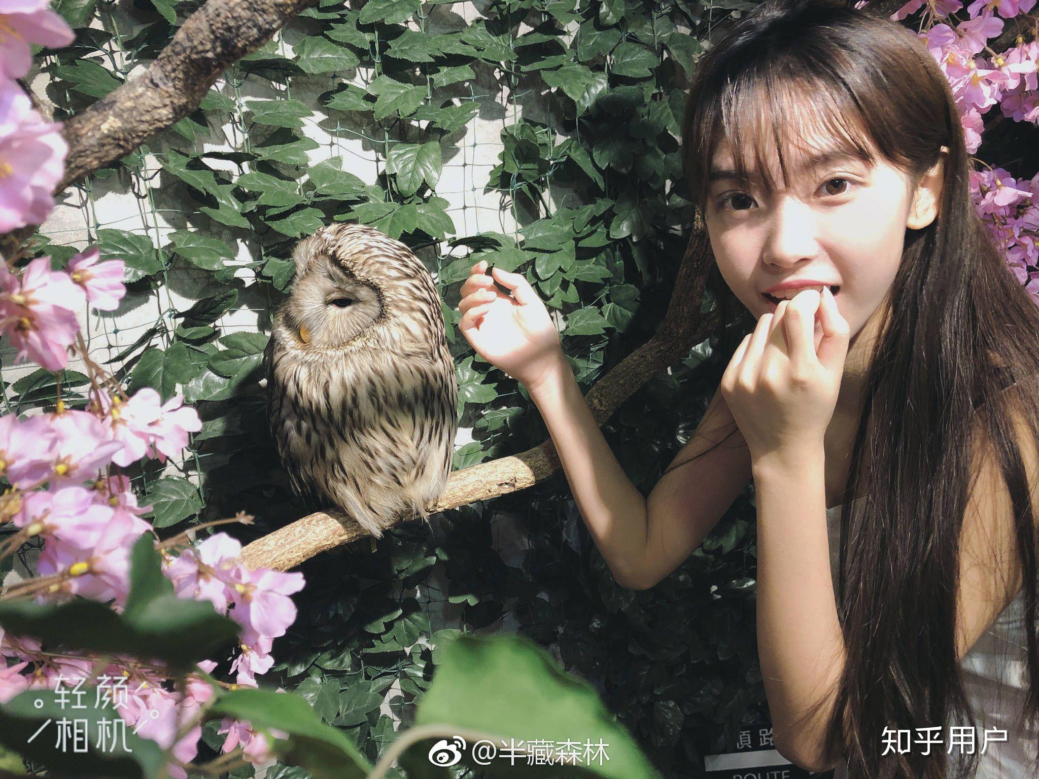 参半miao和半藏森林比谁更算得上美女