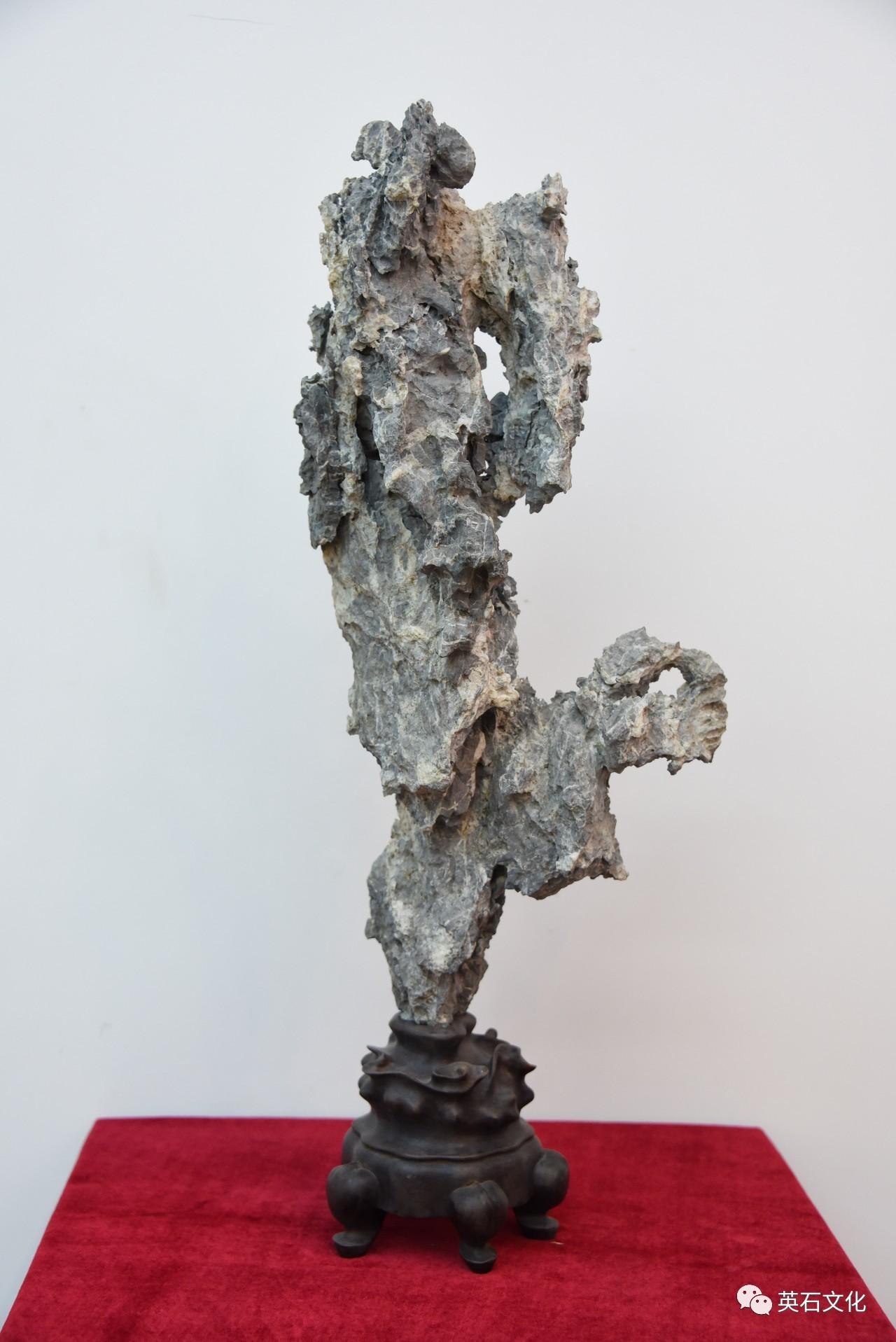 英石幸福花传说