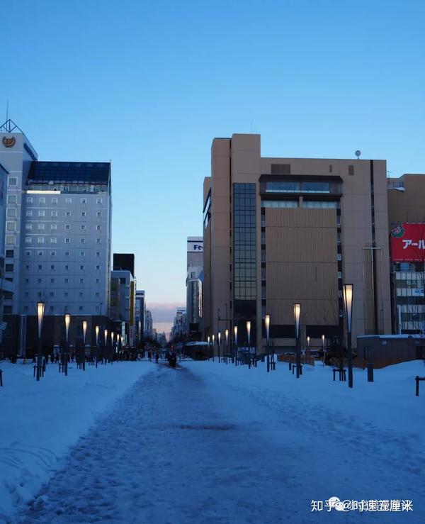 北海道冬日环岛第1集 札幌机场大雪返航 小企鹅动物园寻亲 知乎