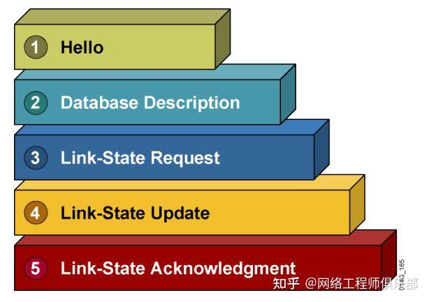 图解OSPF，看这70张图已经足够（一） - 知乎