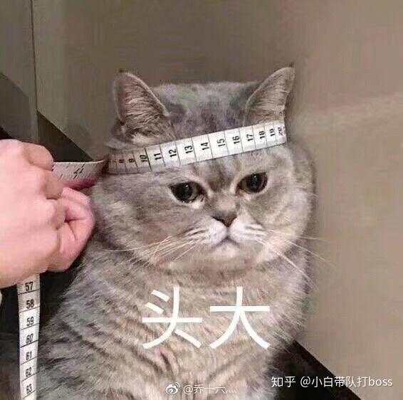 你觉得詹姆斯如果离开骑士,最终可能去哪个球