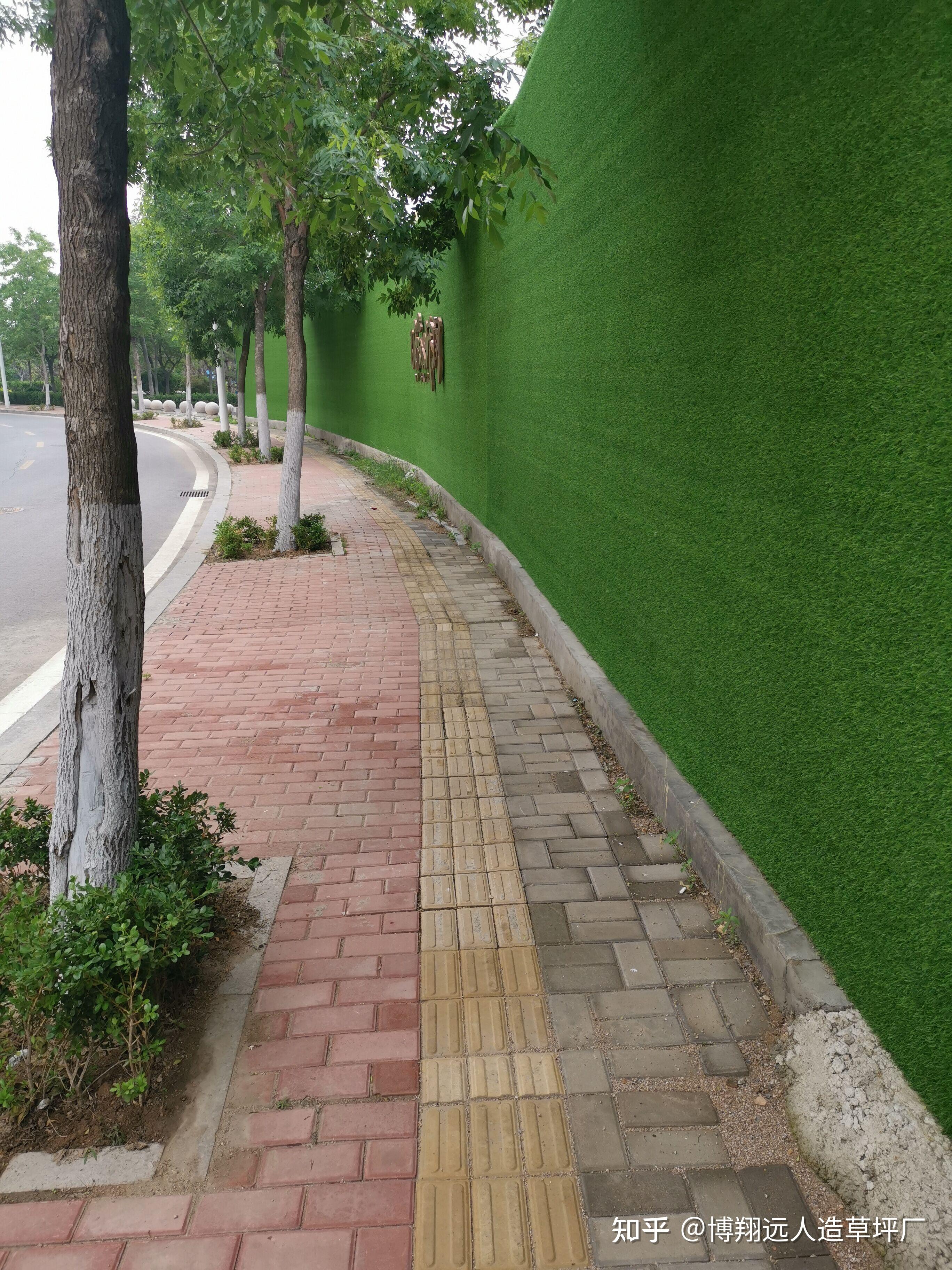 围墙草皮多少钱一平方 - 知乎
