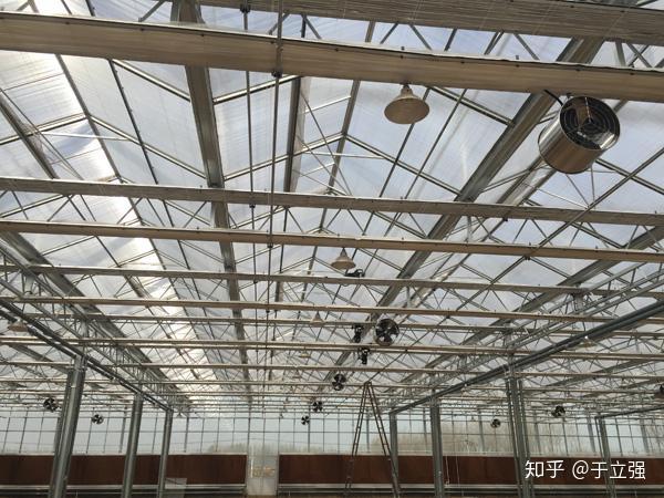 玻璃温室造价解析：构建现代农业科技绿洲的成本考量