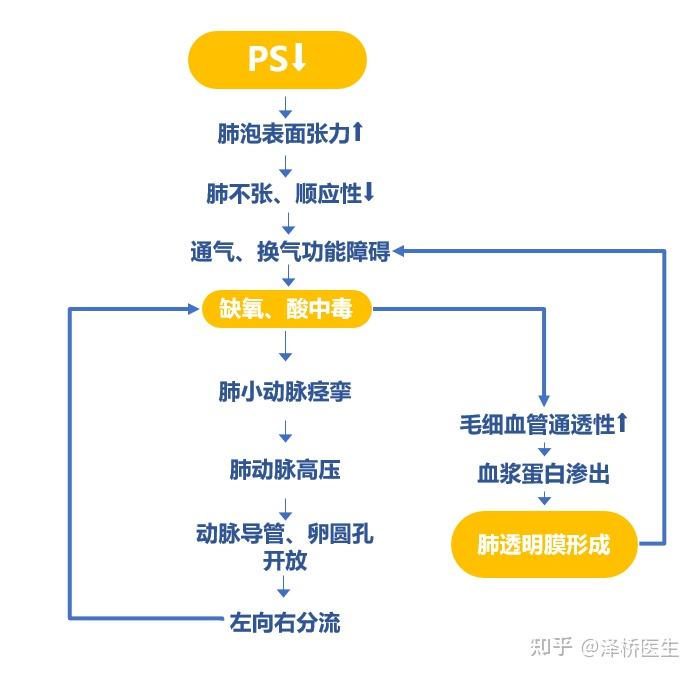 新生儿呼吸窘迫综合征 