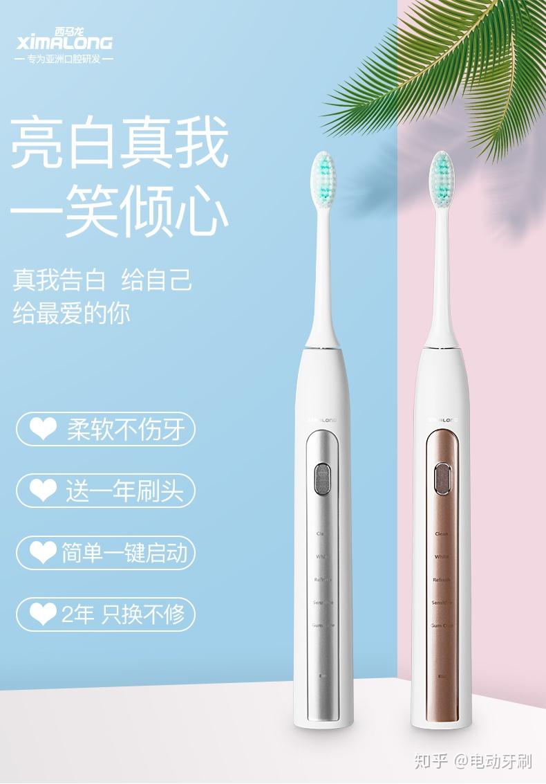 zr502标准版声波电动牙刷