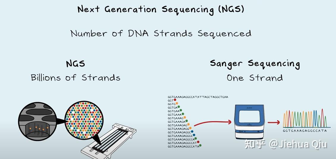 DNA-DNA序列二代测序? - 知乎