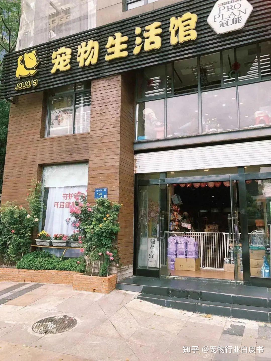 专访南京JOJO宠物生活馆主理人JOJO:从金山离职开宠物店,我如何让门店营收破千万?