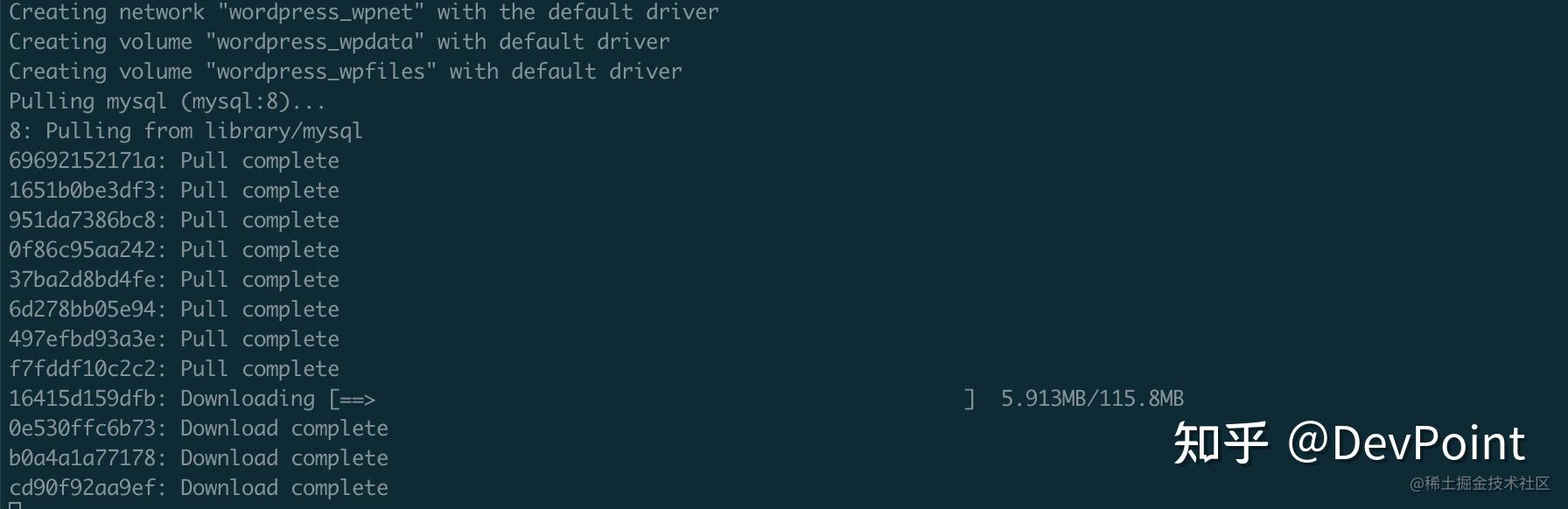 面向WEB开发人员的Docker:部署开发WordPress插图 面向WEB开发人员的Docker:部署开发WordPress插图