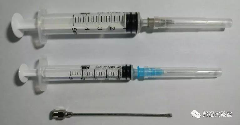 灌胃给药后,为何我的小鼠频繁死亡? - 知乎