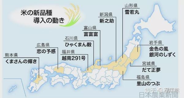 日本大米为什么真香