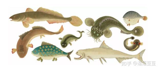 海错图笔记集科普食谱于一书瑰丽怪异美味异常