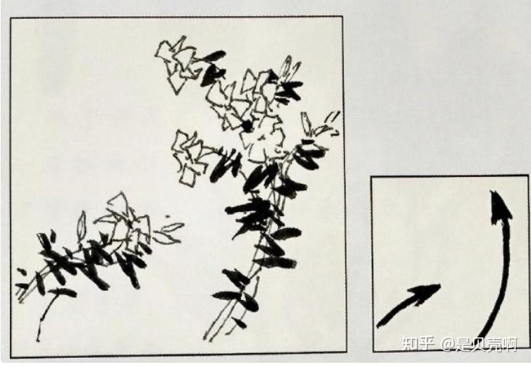 怎么学习画花鸟画 v2-1f729868f95a196a4bae194869dc9e79_r.jpg