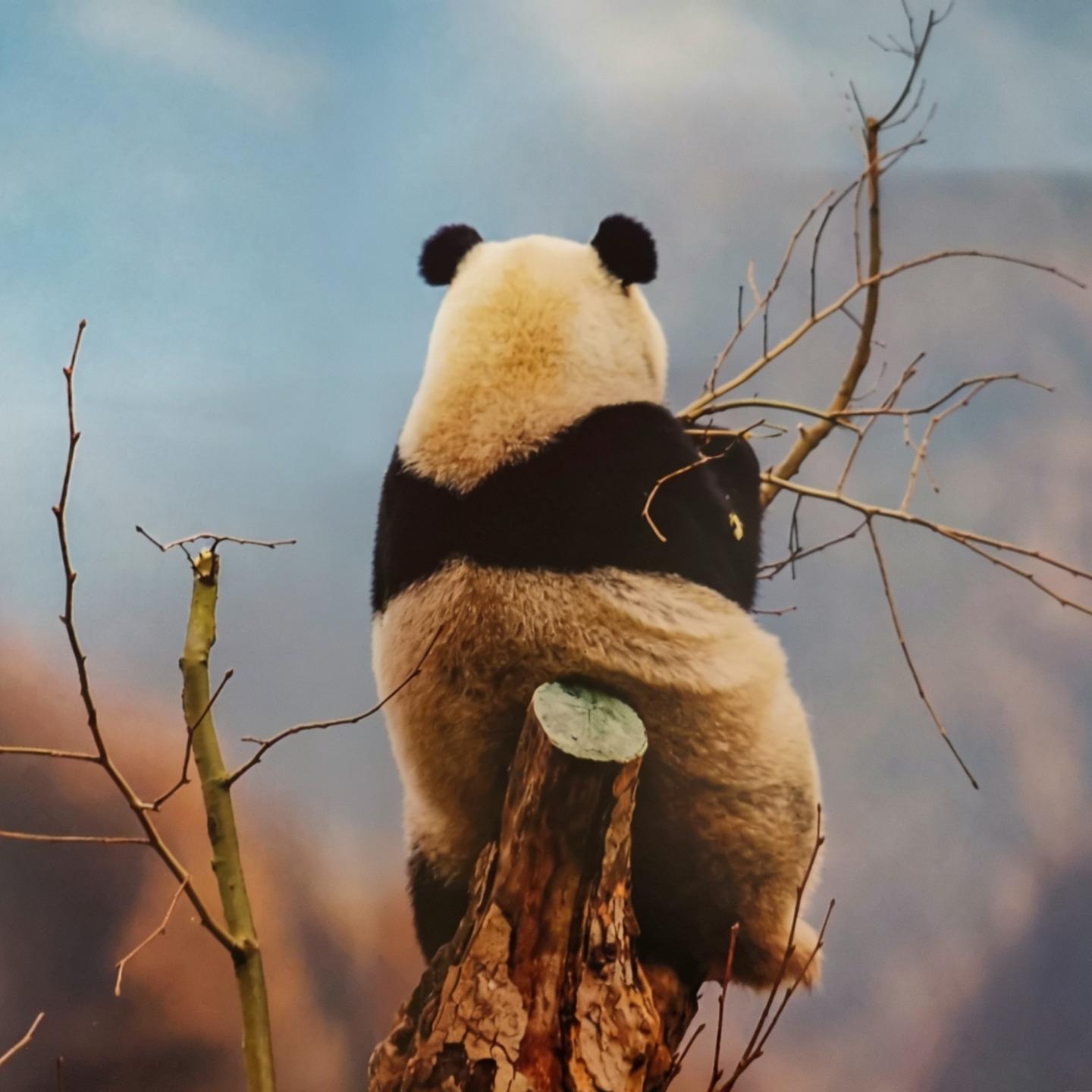 一个建筑出身的人,是怎么被AMD和地摊教做人的