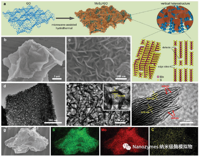 【Adv. Mater.】富缺陷二硫化钼/rGO垂直异质结构增强纳米酶活性的智能杀灭细菌的应用 - 知乎