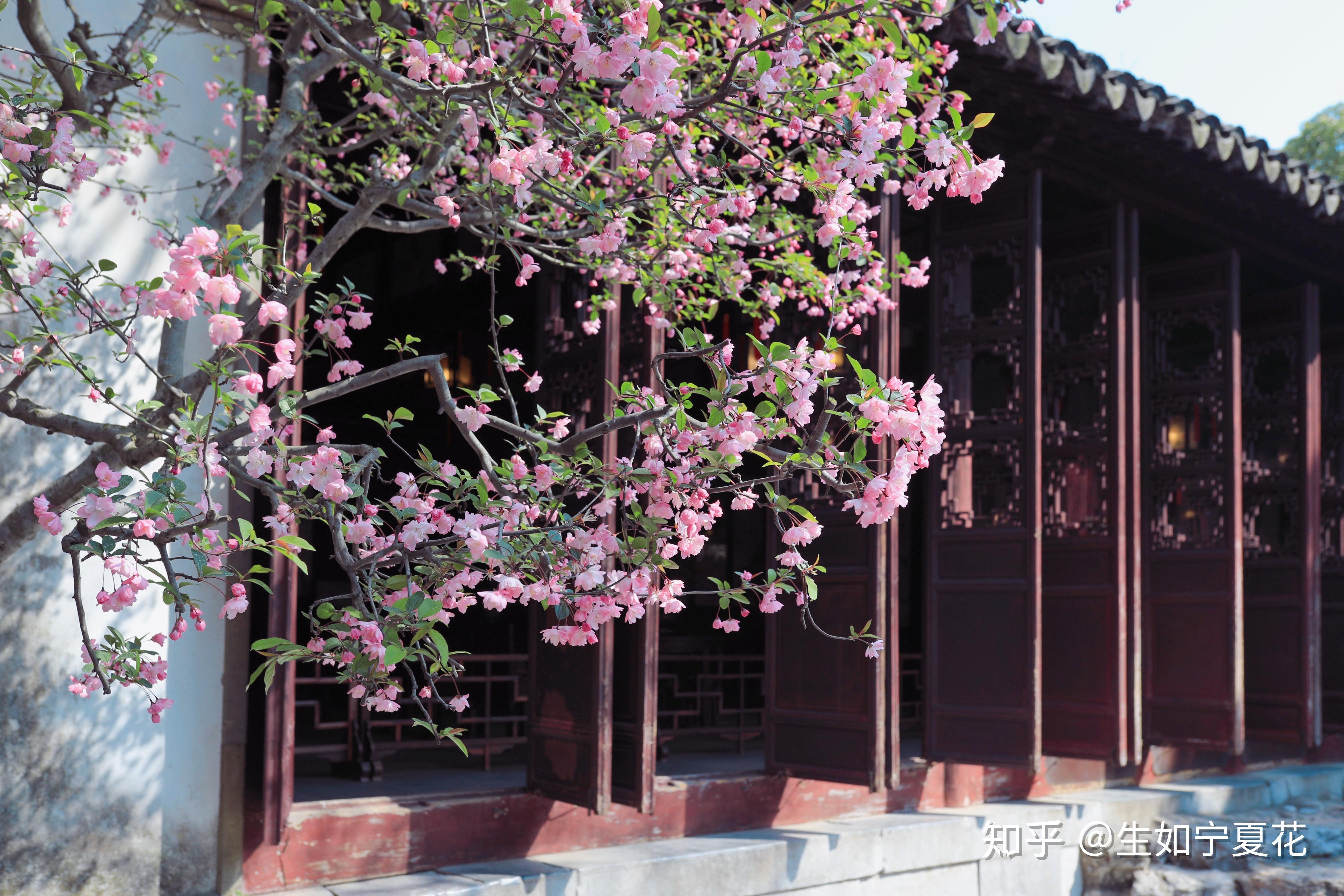 应是绿肥红瘦.试问卷帘人,却道海棠依旧.