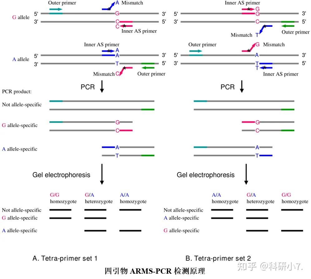 基因组遗传变异研究——SNP检测方法|生信发文利器 - 知乎