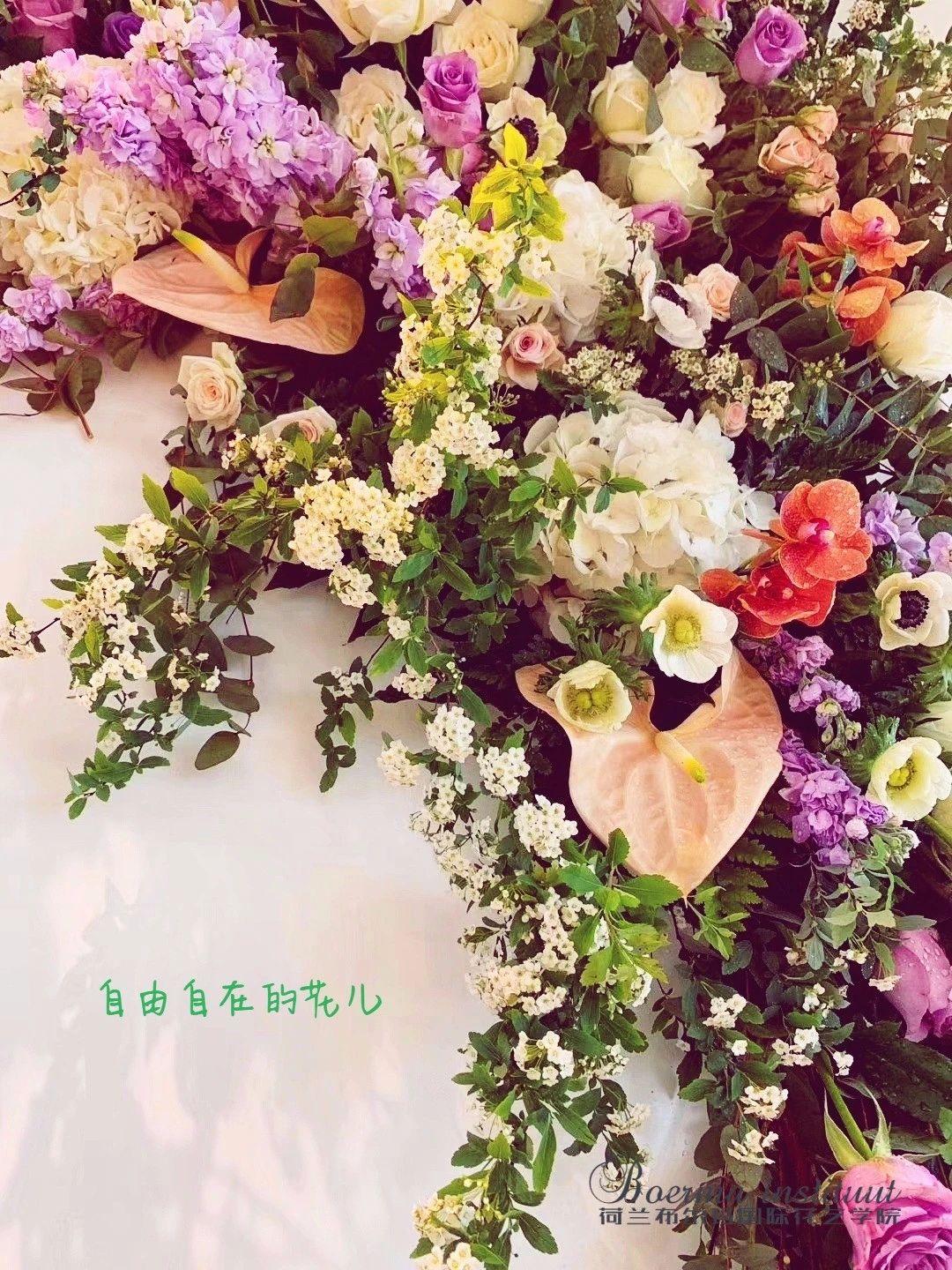 花材色彩的表现机能 知乎