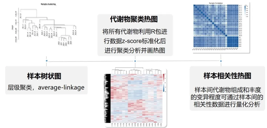 代谢组学数据分析结果如何呈现？ - 知乎