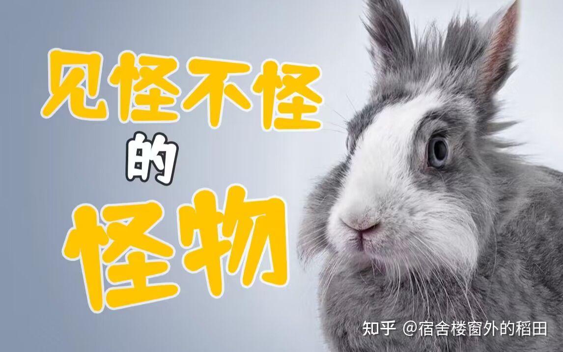 脊椎动物的演化史（2） - 知乎