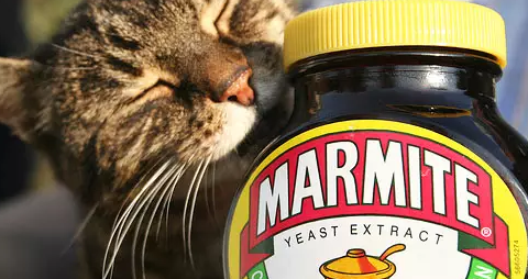 快讯丨海底捞精酿开启线下招商brewdog向酵母酱品牌伸出援手北京加油