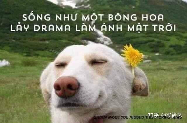 越南网友在线吃瓜瓜表情包