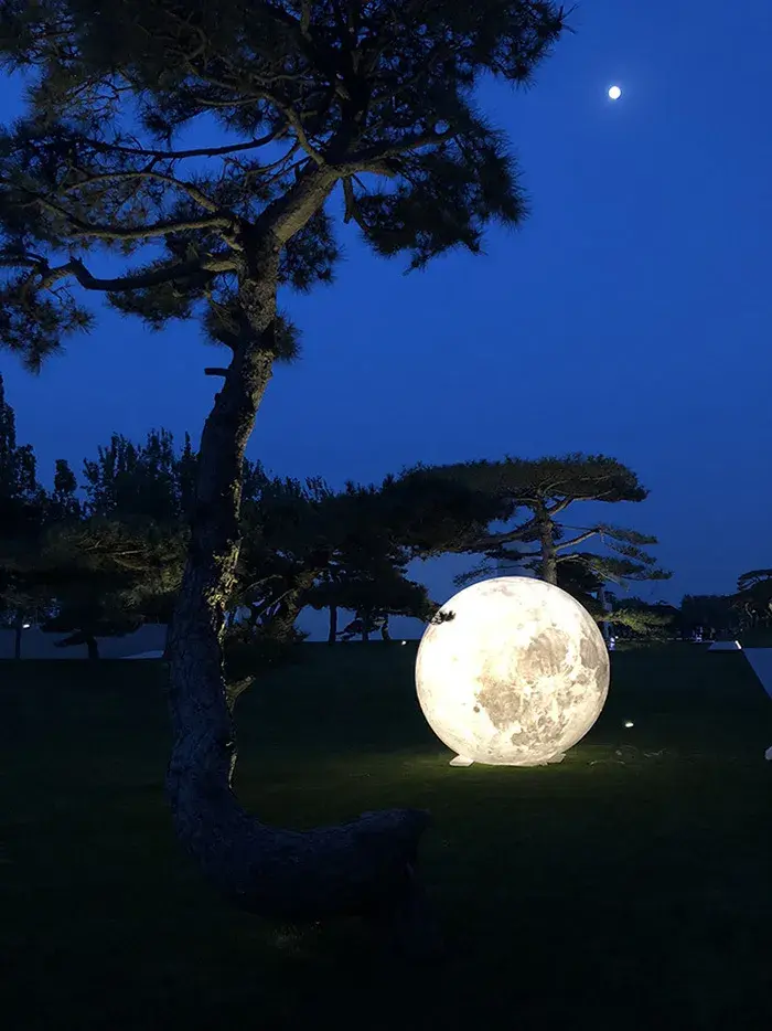 人类登月51年当艺术遇上月亮将会是一场奇幻而又浪漫的约会