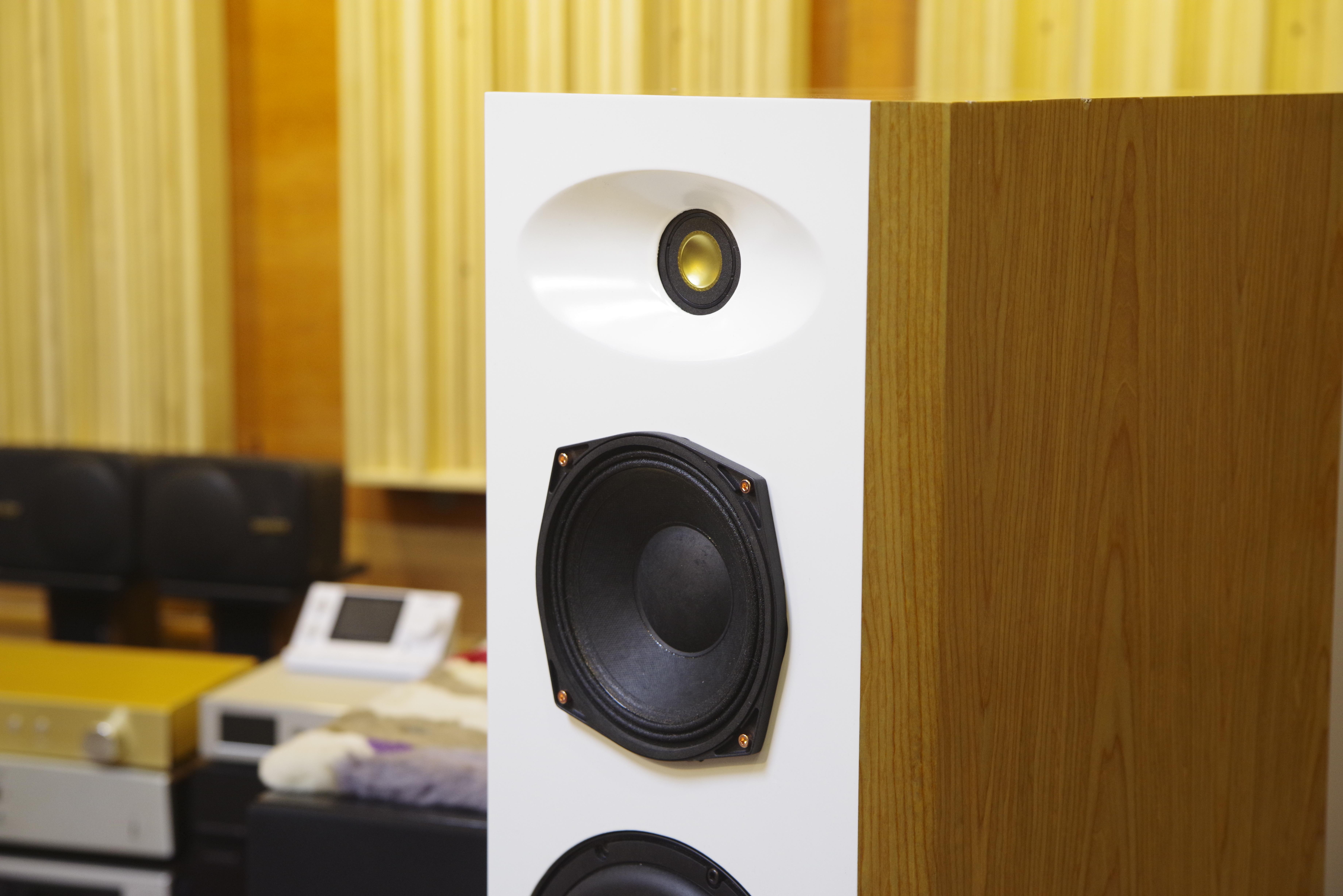 8寸钛球顶密闭式落地音箱