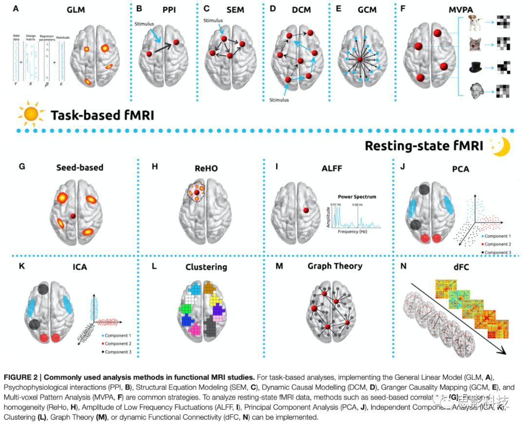 Frontiers In Neuroscience fMRI frontiers-in-neuroscience-fmri
