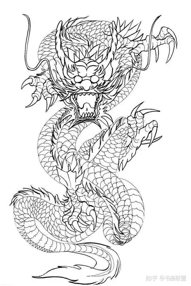 难得一见的龙画法素材 - 知乎