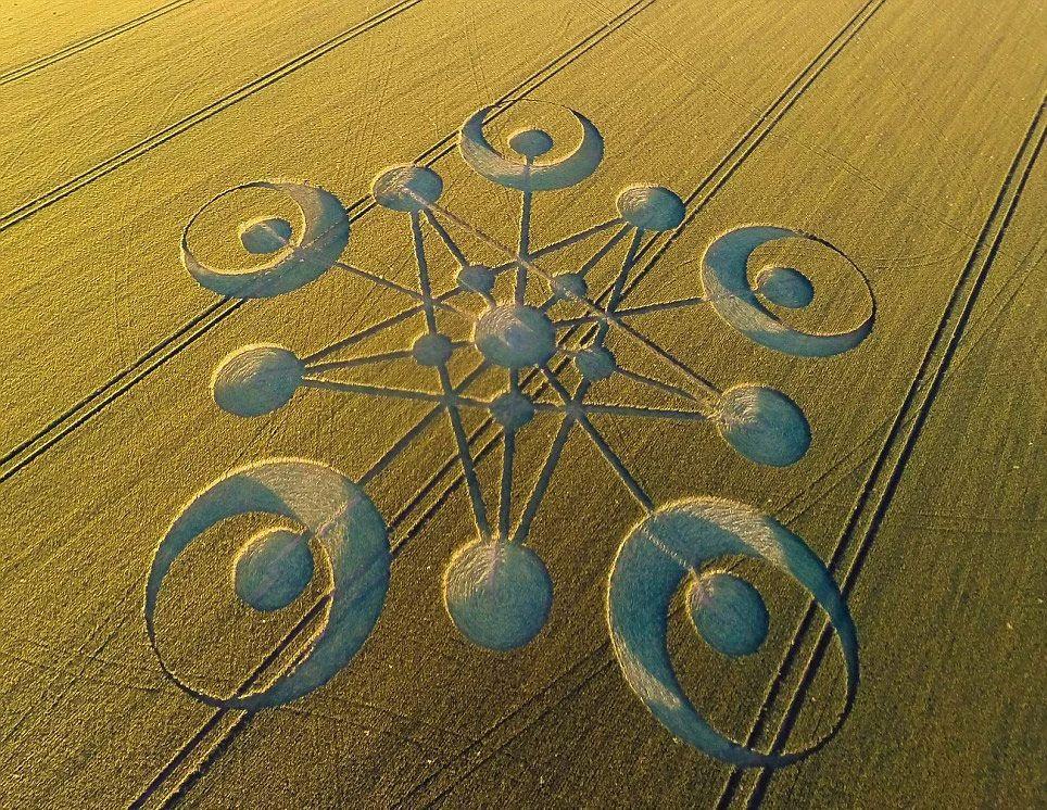 行星鉴定记录者 41 人 赞同了该文章 有人拍下了麦田圈制作的全过程