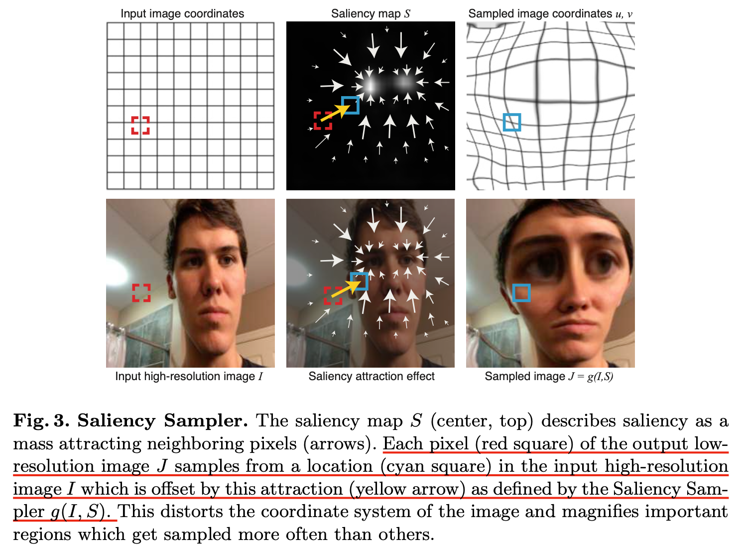 ECCV2018 Learning to Zoom: a Saliency-Based Sampling Layer for Neural ...